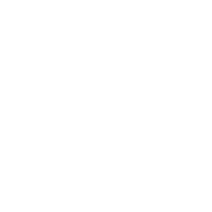 A49 logo